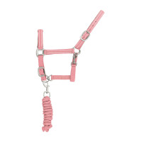 Licol Synthétique avec Longe Reflective Supreme Rose