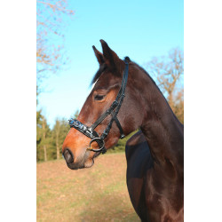 Caveçon Exclusif noir en cuir