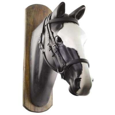 Bridon Biothane Horse Ball avec Rênes Umbria Equitazione Noir