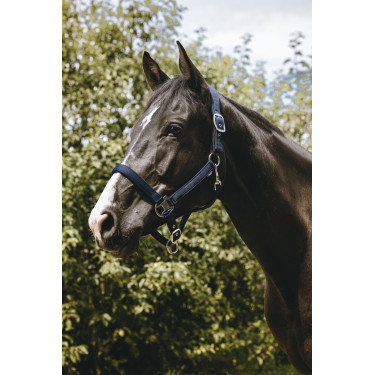 Licol nylon Equithème Protector Licol nylon Equithème Protector