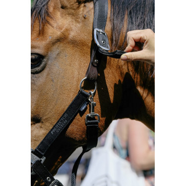 Licol nylon Equithème Protector Licol nylon Equithème Protector