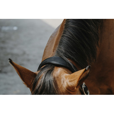 Licol nylon Equithème Protector Licol nylon Equithème Protector