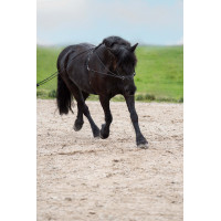 Lange teugels Imperial Riding Free Ride fijn Zwart Lange teugels Imperial Riding Free Ride fijn Zwart