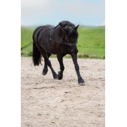 Longues rênes Impérial Riding Free Ride fine Noir Longues rênes Impérial Riding Free Ride fine Noir