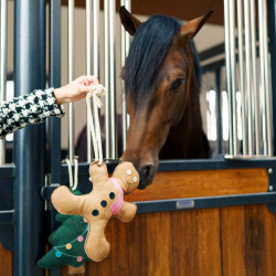 Speelgoed voor de box Imperial Riding Speelgoed voor de box Imperial Riding