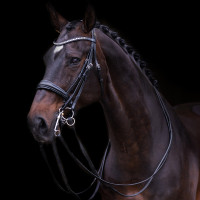 Bride Impérial Riding Fria Bordeaux Bride Impérial Riding Fria Bordeaux