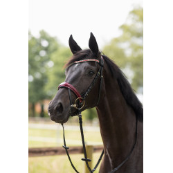 Fillet hoofdstel Physical Sophistication Horze Fillet hoofdstel Physical Sophistication Horze