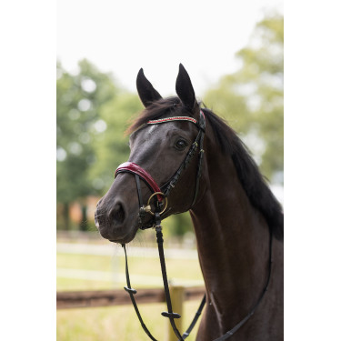 Fillet hoofdstel Physical Sophistication Horze Fillet hoofdstel Physical Sophistication Horze
