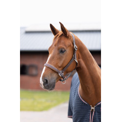 Licol en cuir Physical Sophistication Horze Marron Licol en cuir Physical Sophistication Horze Marron