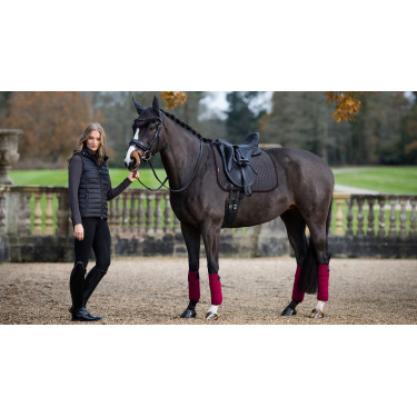LeMieux Suede Dressuur Zadeldek Asgrauw Bordeaux LeMieux Suede Dressuur Zadeldek Asgrauw Bordeaux