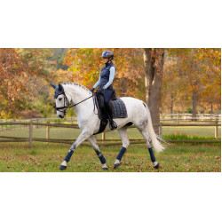 Tapis LeMieux Loire Classic Dressage Square Petrol Bleu