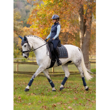 Tapis LeMieux Loire Classic Dressage Square Petrol Bleu