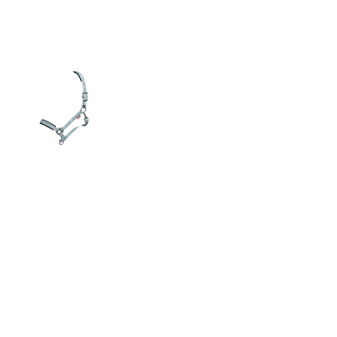 Licol LeMieux Logo Licol LeMieux Logo