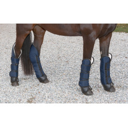 Transportbeschermers Dexter Covalliero donkerblauw Transportbeschermers Dexter Covalliero donkerblauw
