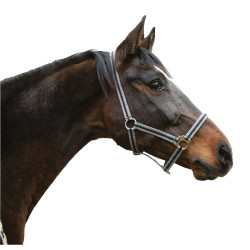 Licol Hippo Noir / argent Licol Hippo Noir / argent