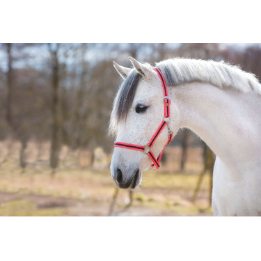 Halster Hippo Covalliero Roze / bruin