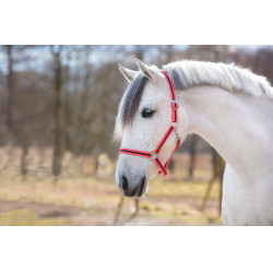 Licol Hippo Rose / marron Licol Hippo Rose / marron