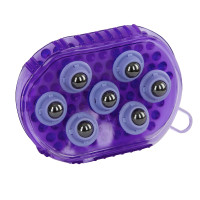 Magnetische massageborstel Lila Blauw