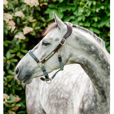 Licol Horseware tressé Signature Marron / marine / brume bleu Multi-couleurs