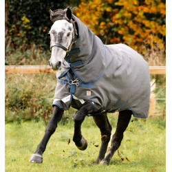 Horseware Rhino Hexstop Plus Vari-Layer Turnout 250g Deken Grijs / indigo Horseware Rhino Hexstop Plus Vari-Layer Turnout 250g Deken Grijs / indigo