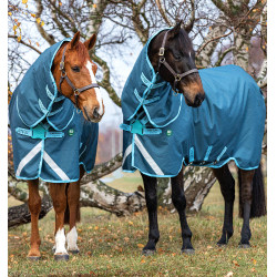 Couverture Horseware Amigo AmEco 12 Plus 250g Bleu foncé / bleu ciel / bleu foncé Couverture Horseware Amigo AmEco 12 Plus 250g Bleu foncé / bleu ciel / bleu foncé