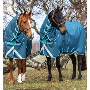 Couverture Horseware Amigo AmEco 12 Plus 250g Couverture Horseware Amigo AmEco 12 Plus 250g