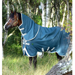 Couverture Horseware Amigo AmEco 12 Plus 0g 1200D Sarcelle / gris Bleu Couverture Horseware Amigo AmEco 12 Plus 0g 1200D Sarcelle / gris Bleu