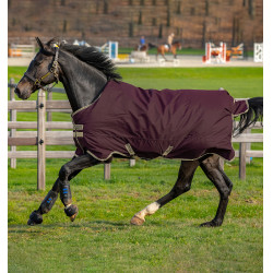 Horseware Amigo Hero Ripstop Lite 0g deken Vijg Violet