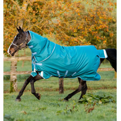 Horseware Amigo® Bravo 12 Plus 400g 1200D deken Groen / turkoois