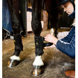 Guêtres Horseware Adagio Noir / jaune Guêtres Horseware Adagio Noir / jaune