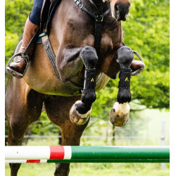 Gamaschen Horseware Adagio Zwart / geel Gamaschen Horseware Adagio Zwart / geel