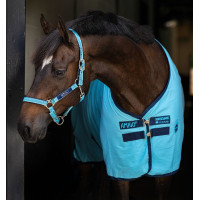 Chemise de box Horseware Amigo Delphinium 0g Bleu dauphin / marine Chemise de box Horseware Amigo Delphinium 0g Bleu dauphin / marine