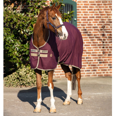 Chemise de box Horseware Amigo Delphinium 0g Chemise de box Horseware Amigo Delphinium 0g