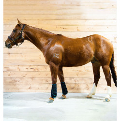 Guêtres massantes Horseware Ice-Vibe Guêtres massantes Horseware Ice-Vibe