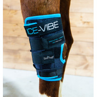 Beschermers Horseware Ice-Vibe Zwart / aqua blauw