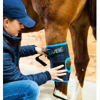 Protège-jarrets Horseware Ice-Vibe Noir / bleu aqua