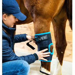 Protège-jarrets Horseware Ice-Vibe Noir / bleu aqua