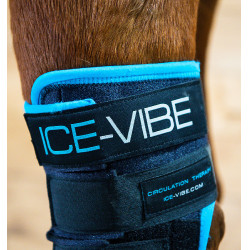 Beschermers Horseware Ice-Vibe Zwart / aqua blauw