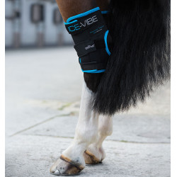 Beschermers Horseware Ice-Vibe Zwart / aqua blauw