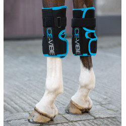 Ice-Vibe Kniebeschermers Horseware Zwart / aqua Ice-Vibe Kniebeschermers Horseware Zwart / aqua