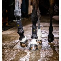 Guêtres Horseware Adagio Noir / jaune Guêtres Horseware Adagio Noir / jaune