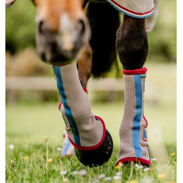 Guêtres anti-mouches Horseware Cerise / pêche / bleu