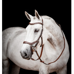 Bridon Horseware Micklem 2 Competitie Rambo Donker Havana Bruin Bridon Horseware Micklem 2 Competitie Rambo Donker Havana Bruin