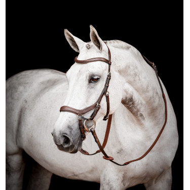 Bridon Horseware Micklem 2 Competitie Rambo Bridon Horseware Micklem 2 Competitie Rambo