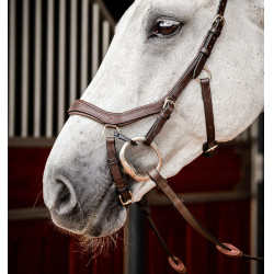 Bridon Horseware Micklem 2 Competitie Rambo Donker Havana Bruin Bridon Horseware Micklem 2 Competitie Rambo Donker Havana Bruin