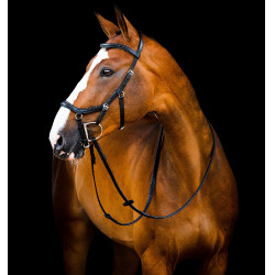 Bridon Horseware Micklem 2 Deluxe Wedstrijd Zwart Bridon Horseware Micklem 2 Deluxe Wedstrijd Zwart