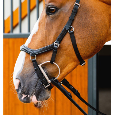 Bridon Horseware Micklem 2 Deluxe Competition Noir