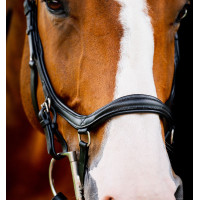 Bridon Horseware Micklem 2 Deluxe Competition rênes caoutchouc Noir