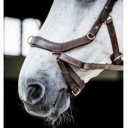 Bridon Horseware Micklem 2 Multi Havane foncé Marron