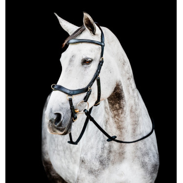 Bridon Horseware Micklem 2 Multi Noir Bridon Horseware Micklem 2 Multi Noir